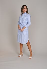 Lichtblauw gestreept hemdkleed Ralph Lauren
